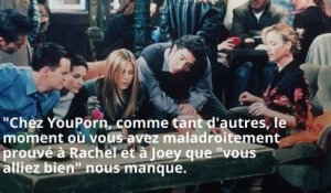 David Schwimmer (Ross) : Contacté pour jouer dans la parodie pornographique de FRIENDS !