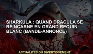 Sharkula : Quand Dracula se réincarne en Jaws (bande-annonce)