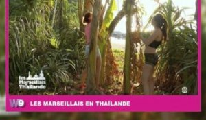 Zapping Public TV n°870 : Kim (Les Marseillais) : L'amie des plantes !