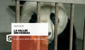 La vallée des pandas F5 - 24/12