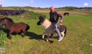 Le zapping du 03/12 : Philippe Etchebest fait du rodéo sur… un poney !