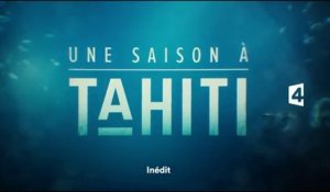 Une saison à Tahiti - teaser France 4