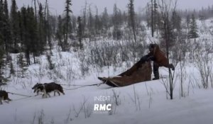 Into The Wild  Alaska - RMC DECOUVERTE 22 12 18