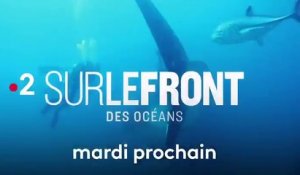 Sur le front (France 2) Les océans