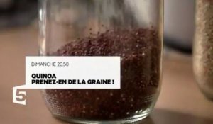 Quinoa, prenez en de la graine - 22 10 17 - France 5