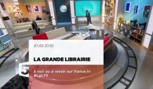 La Grande Librairie - Perrine Desproges, Christophe Honoré - 12 10 17 -  France 5