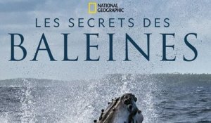 Les secrets des baleines : Le coup de coeur de Télé7