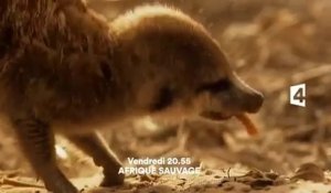 Afrique sauvage - France 4- 21 10 16