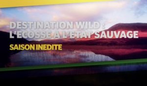 Destination Wild : L'Ecosse à l'état sauvage