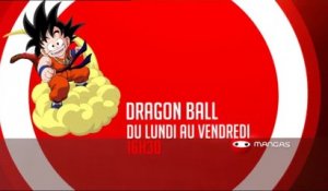 Dragon Ball - Mangas