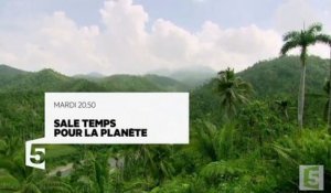 Sale temps pour la planète à Cuba - 29 08 17 - France 5