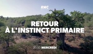 Retour à l'instinct primaire - rmc - 12 09 18