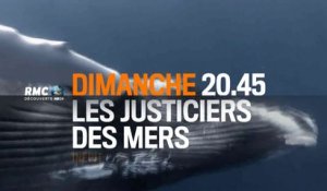 Les Justiciers des mers - Evacuation in extremis - 09/08/15