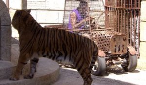 Tony Parker fait face à un tigre dans Fort Boyard (France 2)