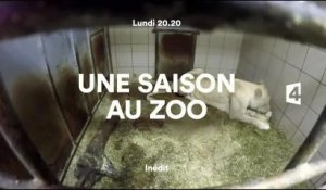 Une Saison au zoo - Saison 7 - France 4