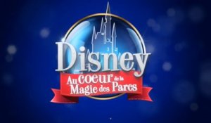 Extrait doc Disney NRJ12 partie 2