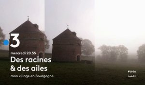 Des racines et des ailes - mon village en Bourgogne - 21 02 18