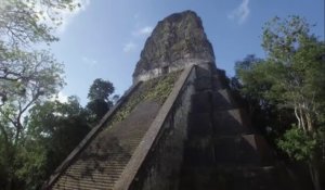 Naachtun - La cité maya oubliée VO - arte