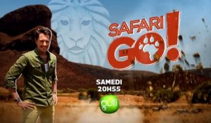 Safari go - gulli - 29 04 17