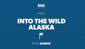 Into the wild : Alaska - chaque samedi - RMC Découverte