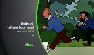 Tintin et l'affaire tournesol - 6Ter