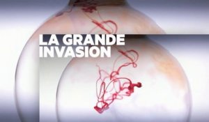 Les nouveaux poisons de notre quotidien- Enquête de santé - 31 01 17