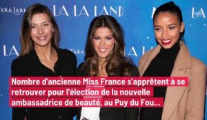 Cette Miss France qui fascine toutes les autres !