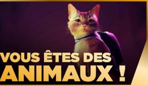 10 jeux où vous incarnez un animal !  TOP 10