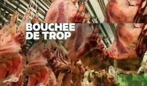 Un monde sans viande-France 5- 16 02 16