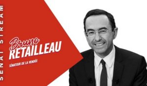 Bruno Retailleau dans Questions aux sénateurs