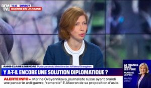 Anne-Claire Legendre (ministère des Affaires Etrangères): "Nous demandons à nos entreprises d'appliquer les sanctions, ce qu'elles font"