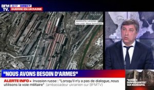 Vadym Omelchenko, ambassadeur d'Ukraine en France: "Nous attendons de la communauté internationale davantage de résolution"