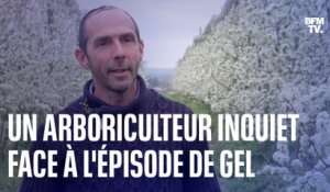 Comment cet arboriculteur va tenter de sauver ses récoltes face à l'épisode de gel