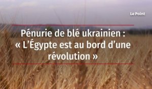 Pénurie de blé ukrainien : « L’Égypte est au bord d’une révolution »
