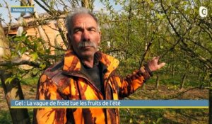 JT DES TERRITOIRES - 09/04/22