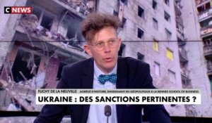 Thomas Flichy de La Neuville : «Les sanctions sont une arme à double tranchant»