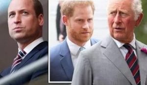 Charles et William "très en colère" contre Harry pour "avoir mis des mots dans leur bouche" - expert