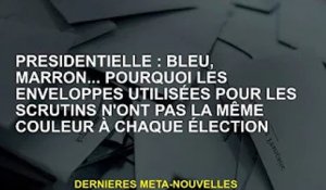 LE PRÉSIDENT : Bleu, marron... pourquoi les enveloppes des bulletins de vote sont-elles d'une couleu