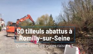 50 tilleuls abattus à Romilly-sur-Seine : Quelles sont les vraies raisons ?