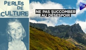 Perles de Culture n°335 : Ne pas succomber au désespoir