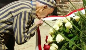 Hommages aux victimes de l'Holocauste à Auschwitz et en Israël