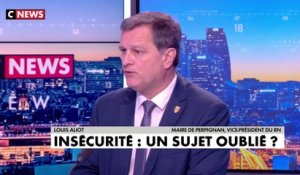 Louis Aliot : «Si l'Etat ne remplit plus sa fonction, les Français finiront par se défendre eux-mêmes !»