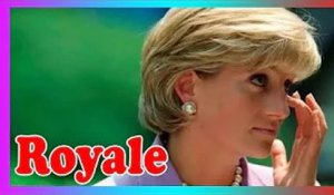 La princesse Diana 'mérite de la sympathie' m@lgré sa 'personnalité déviante' et 'très imparfaite'