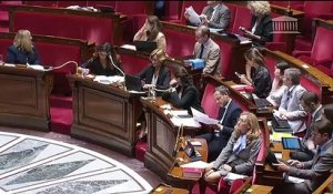 Une plainte pour violences et harcèlement a été déposée à l'encontre de la députée LREM de Loire-Atlantique Anne-France Brunet par une ancienne assistante parlementaire