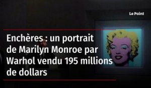 Enchères : un portrait de Marilyn Monroe par Warhol vendu 195 millions de dollars