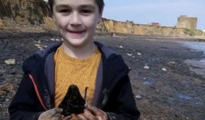 À 6 ans, il trouve une dent de requin mégalodon vieille de 3 millions d'années en cherchant des coquillages