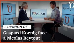 Gaspard Koenig (Simple): «Mon parti ne se présente pas aux législatives mais vise les européennes»