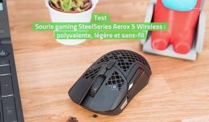 Test Souris gaming SteelSeries Aerox 5 Wireless : polyvalente, légère et sans-fil