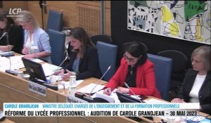 Audition à l'Assemblée nationale - Réforme du lycée professionnel : audition de Carole Grandjean