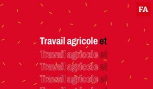 Le travail agricole par fortes chaleurs